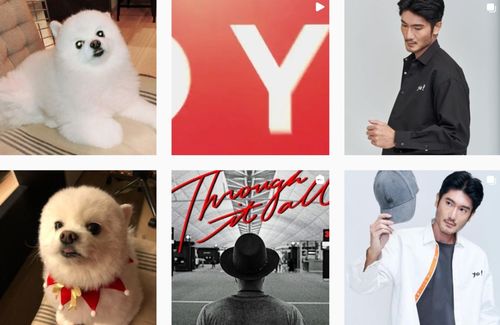 高以翔胞兄内地发展 传承与开拓的并行之路